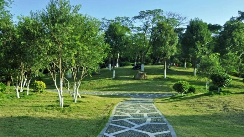 LPL职业联赛直播平台怎么选?画质、延迟与观赛体验的实用判断
